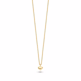 FJF Mini Heart FJF0010056SYG