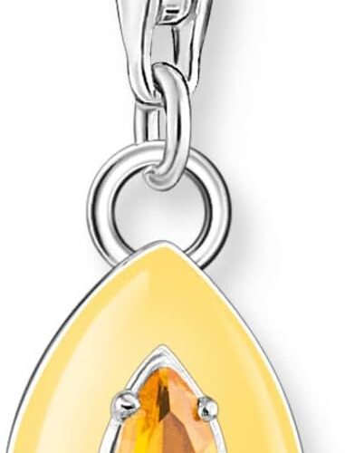 THOMAS SABO Charm-Anhänger 1919-496-8