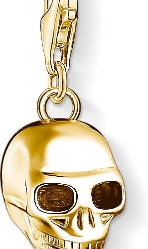 Thomas Sabo Charm Anhänger 1549-413-39