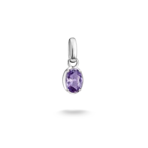 Thomas Sabo Charm-Anhänger Geburtsstein Februar Connect Silber CC1330-051-13